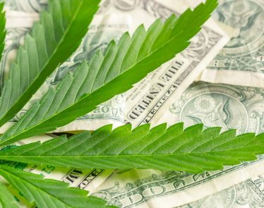 cannabis penny stocks to watch