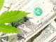 cannabis penny stocks to watch